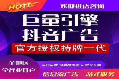 SEM托管成功案例：揭秘高效广告投放策略