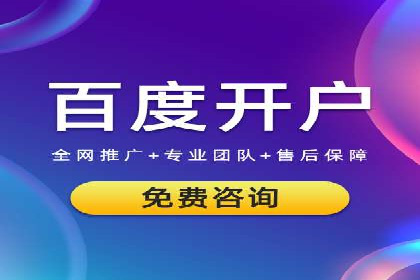 谷歌SEM广告策略：某电商平台的成功逆袭案例